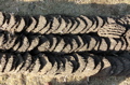 Etiopia. Muro di escrementi.